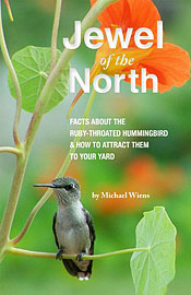 Jewel Of The North
